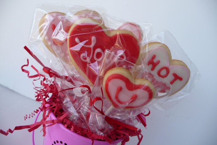 [wrapped+cookies+1.jpg]