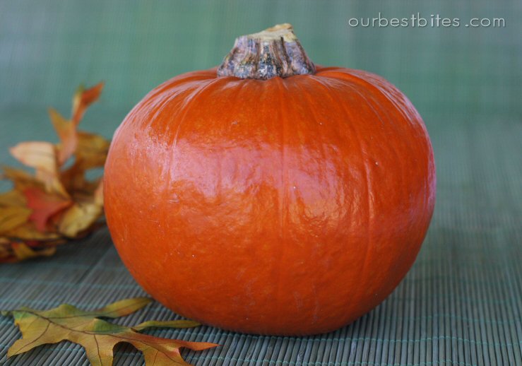 [8+sugar+pumpkin+cr.jpg]