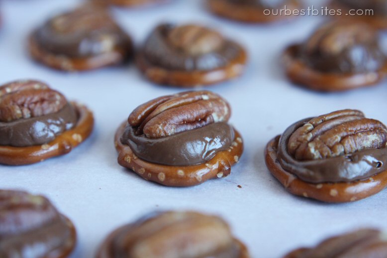 [turtles+with+nuts+close+up.jpg]