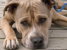 Camping may 14, 2010