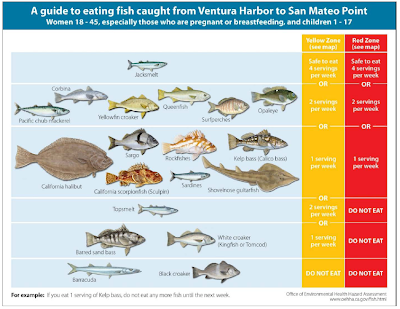 Ventura River Ecosystem: Toxic fish on our coast