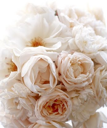 The Classy Woman ®: Pining For Peonies