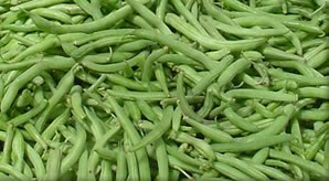 [banner_photo_left.jpg]