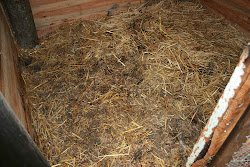 deep litter chicken coop chickens method bedding beds building floor wood poop frantic mum finds