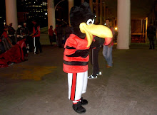 Black Vulture - Flamengo's mascot