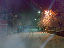 GÜRÜNDE KARLI BİR AKŞAM