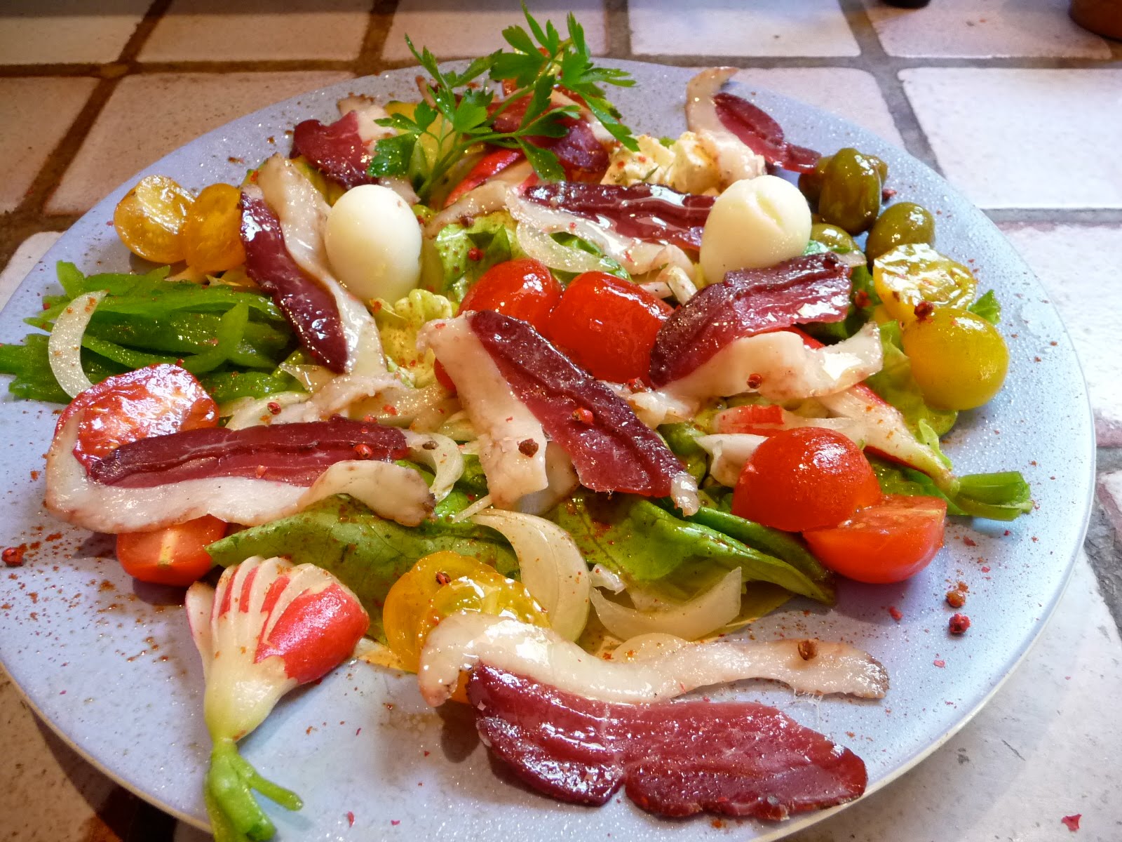 V SALADE DE MAGRETS DE CANARD MULTICOLORE