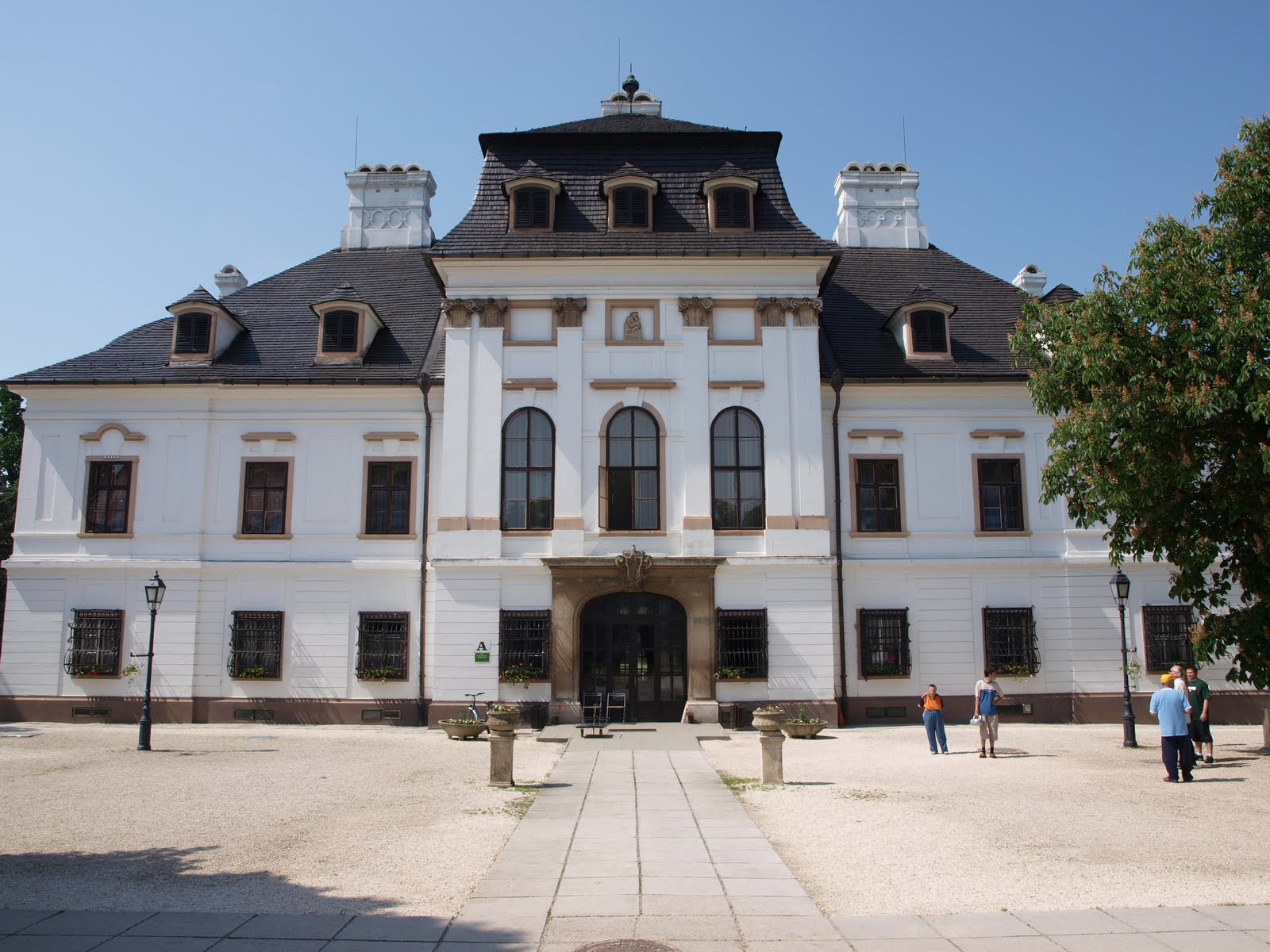 zsira-alchetron-the-free-social-encyclopedia