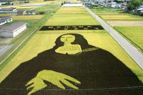 Kia Seen OnCool crop 'art' circles from around the world www.coolpicturegallery.us