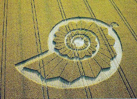 Kia Seen OnCool crop 'art' circles from around the world www.coolpicturegallery.us