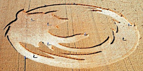 Kia Seen OnCool crop 'art' circles from around the world www.coolpicturegallery.us
