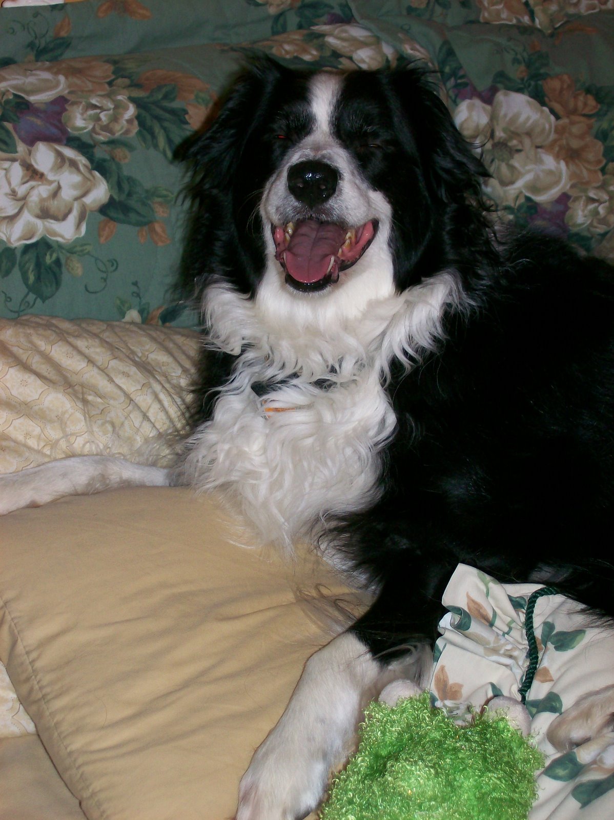 [Stop+flashing+me!.jpg]