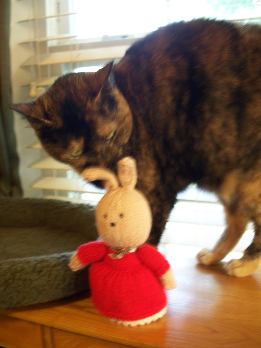 [Merry+meets+Taco.JPG]