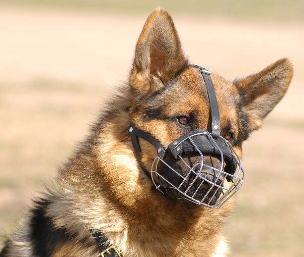 Dog Leash supplies BUY Heavy Duty Wire Basket Muzzle for DOG