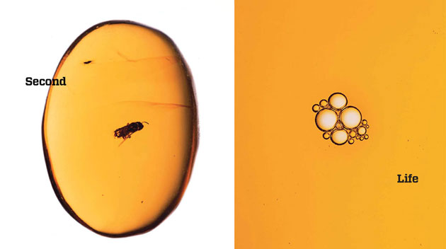 [ff_primordial_yeast_f.jpg]