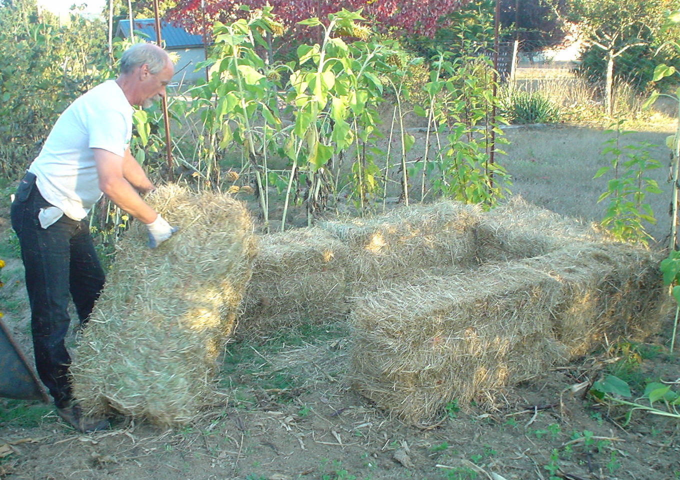 The Sharing Gardens Hay Bale Compost