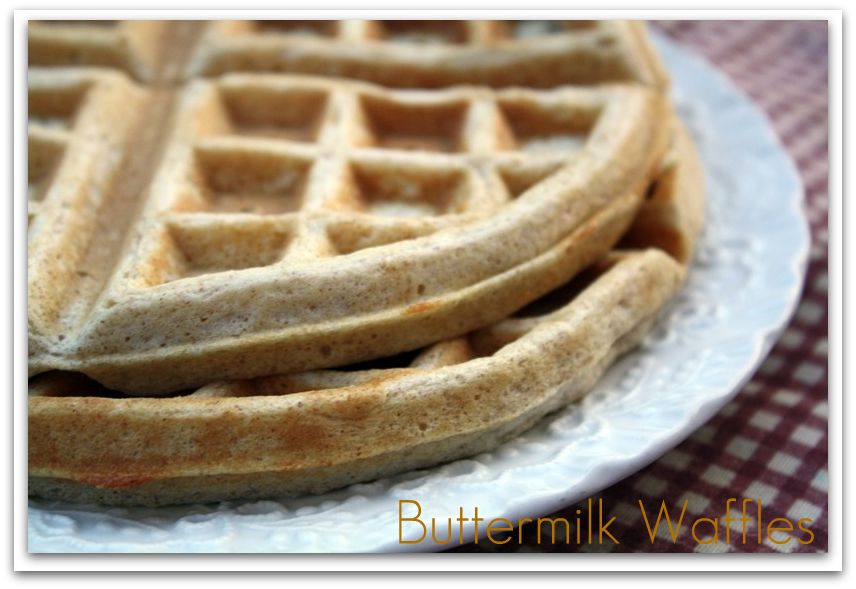 alton brown favorite waffle maker