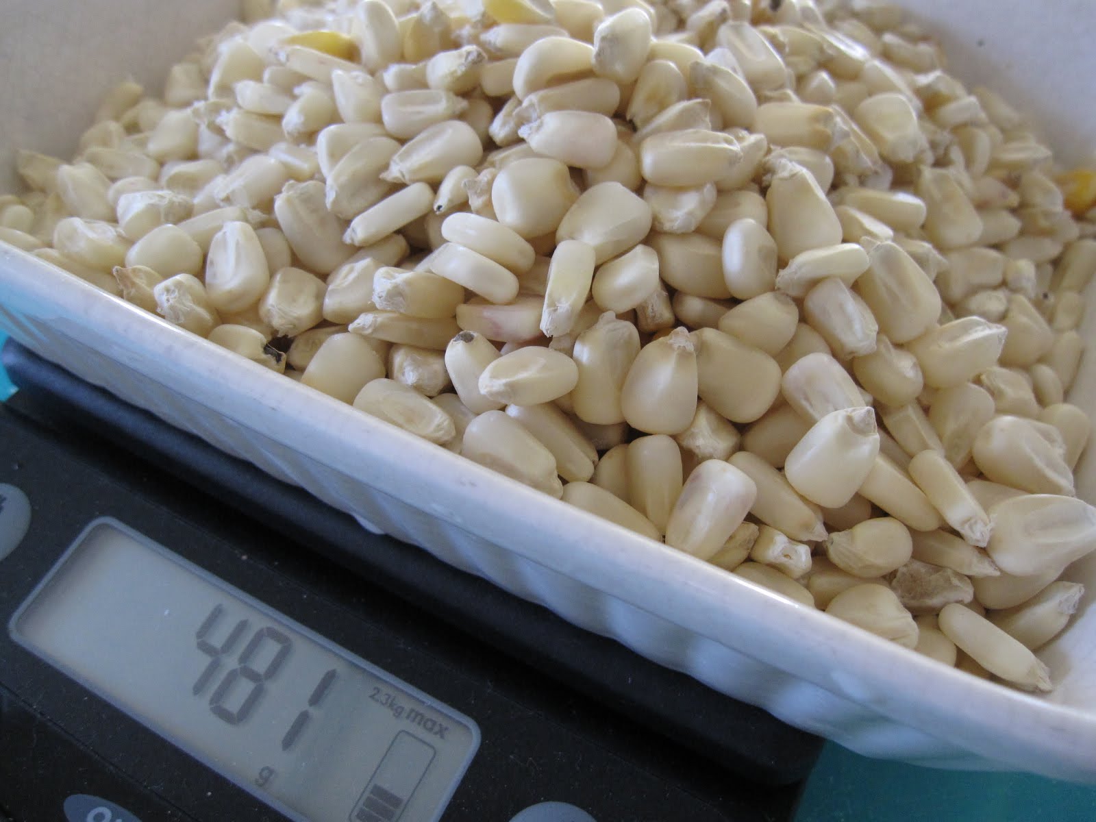 Prieta's Notes Corn Masa for Tortillas