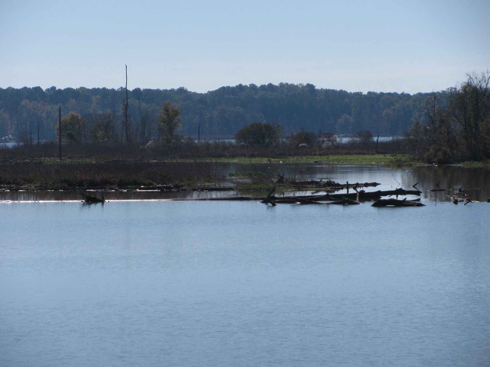 Quest on the Loop Aberdeen Marina, Aberdeen, MS 11/9/10