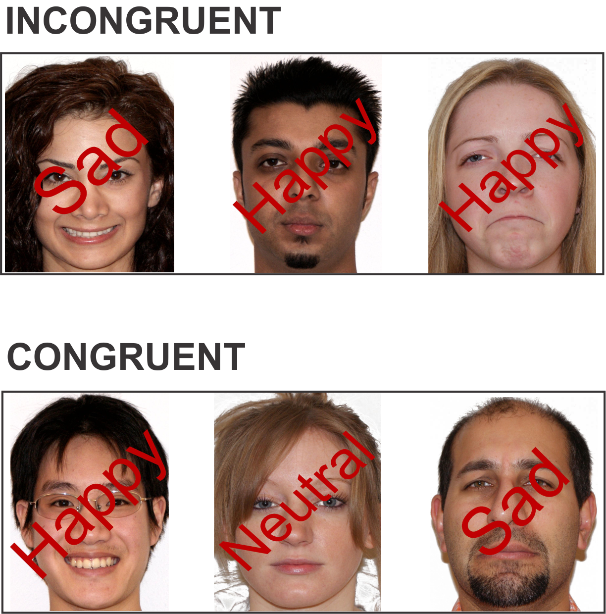 NeuroShimS Frontiers Original Research Word wins over Face