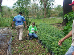 Preparandonos para Reforestaciones 2009