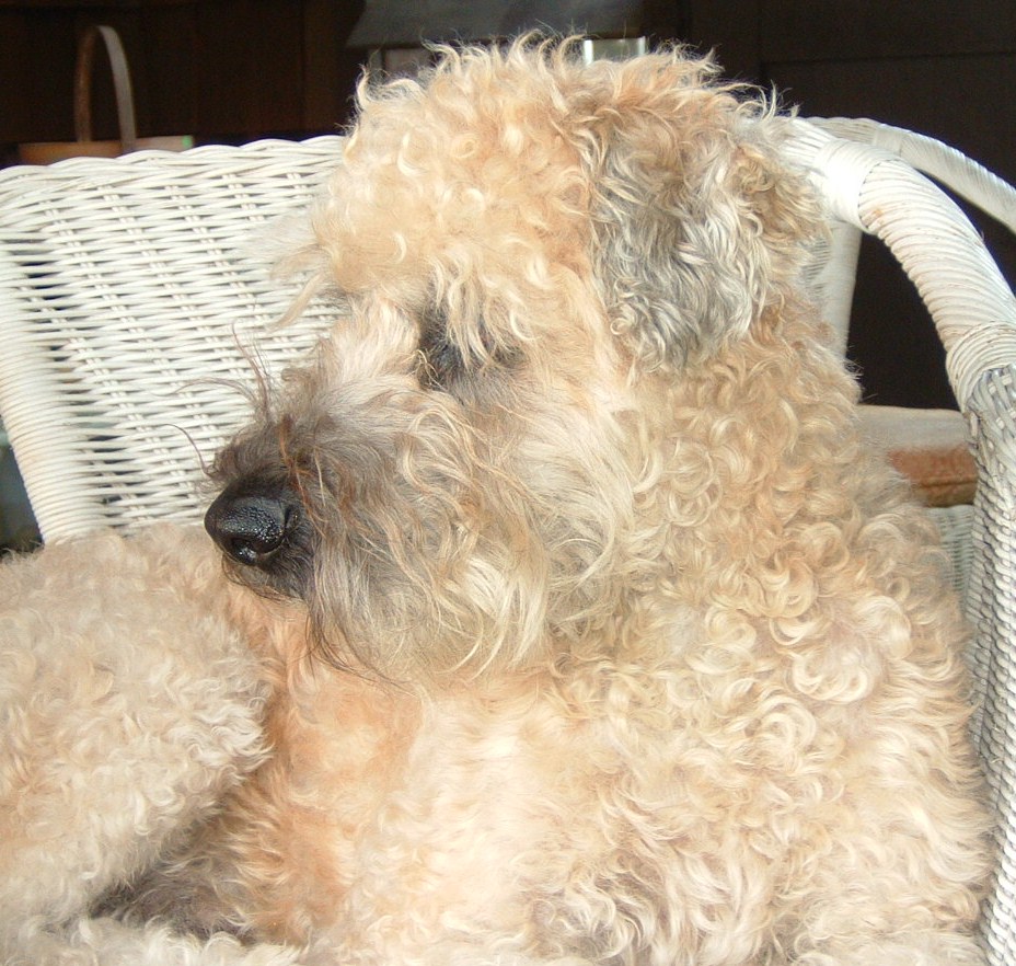 [new+pendants+murphy+005.JPG]