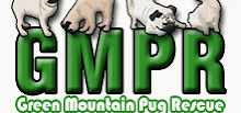 Green Mountain Pug Rescue