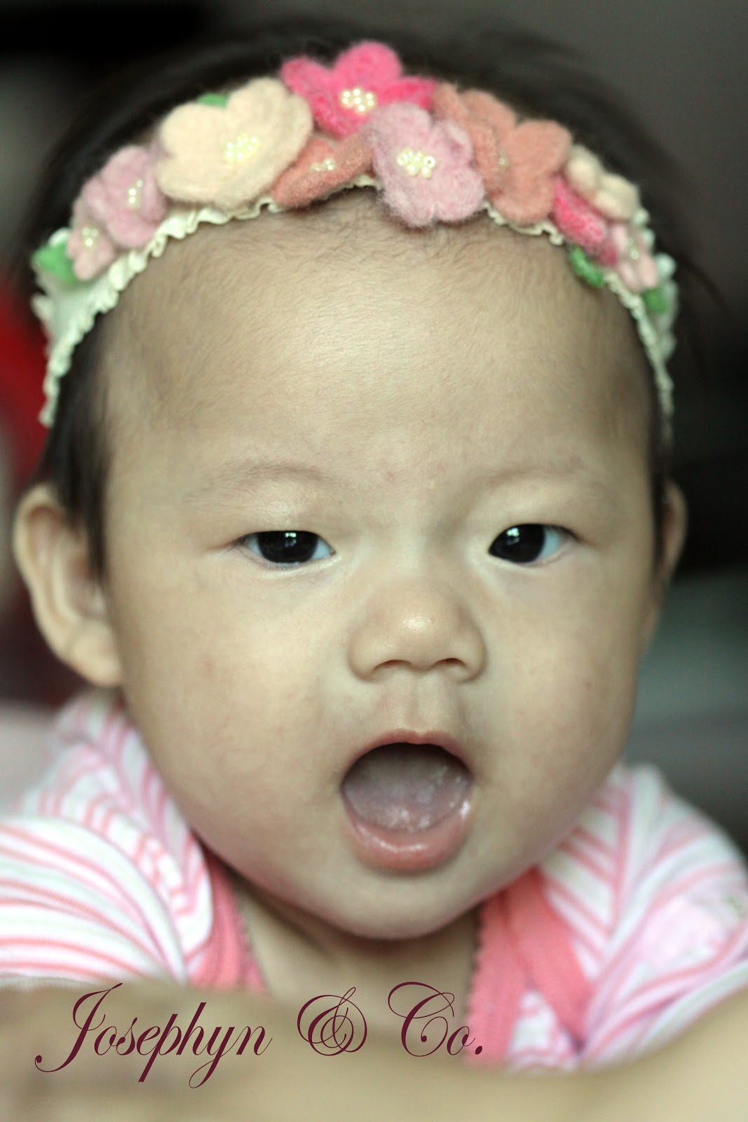 ♥ ♥ ♥ Josephyn & Co. ♥ ♥ ♥ Plum Blossom Hairband for Babies