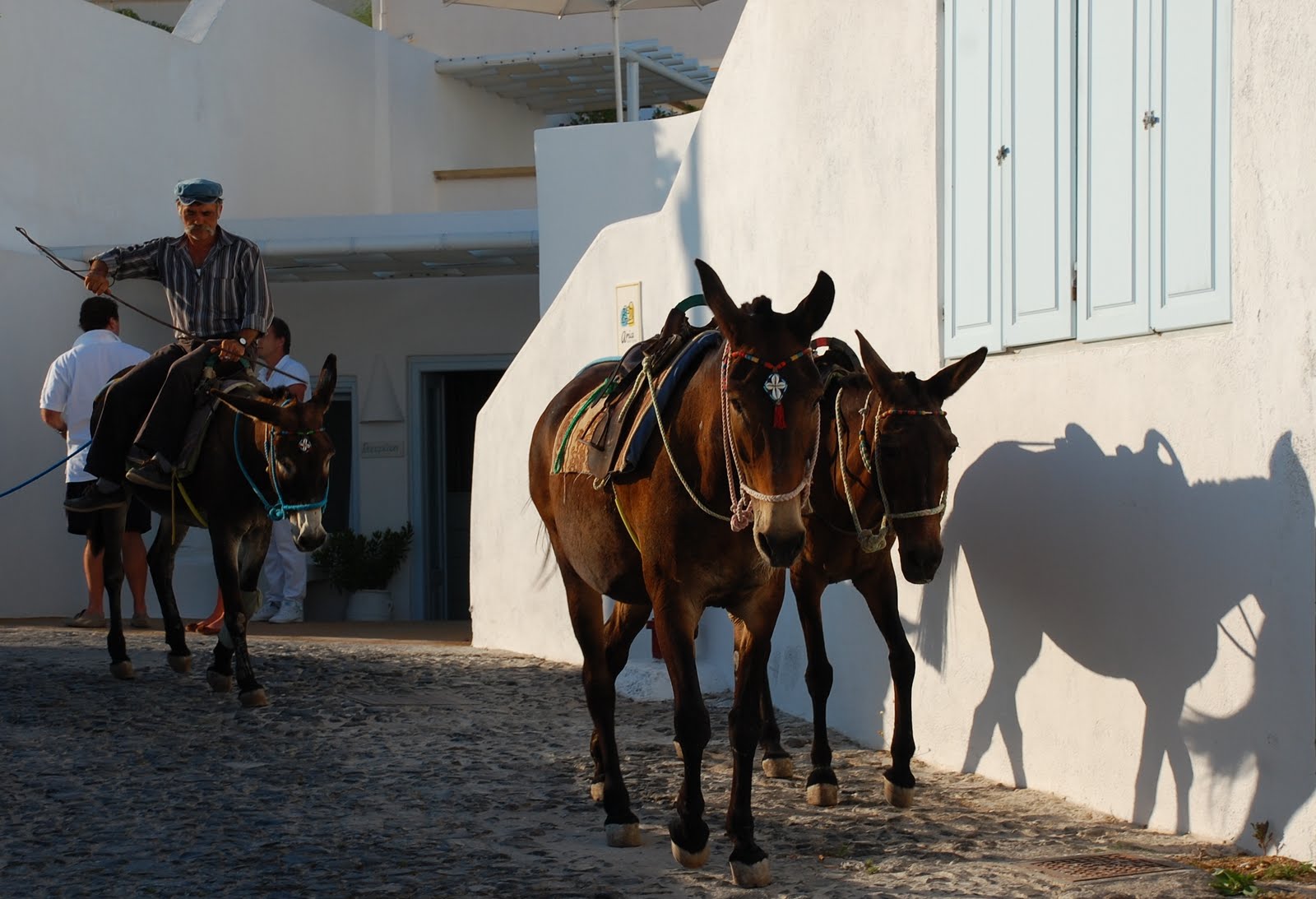 somethin' shiny!: My Big, Fat Greek Vacation--Santorini