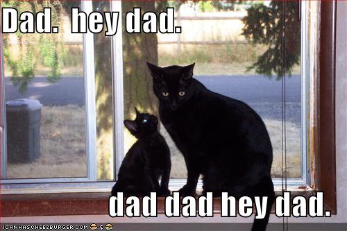 [lolcats-funny-pictures-hey-dad.jpg]