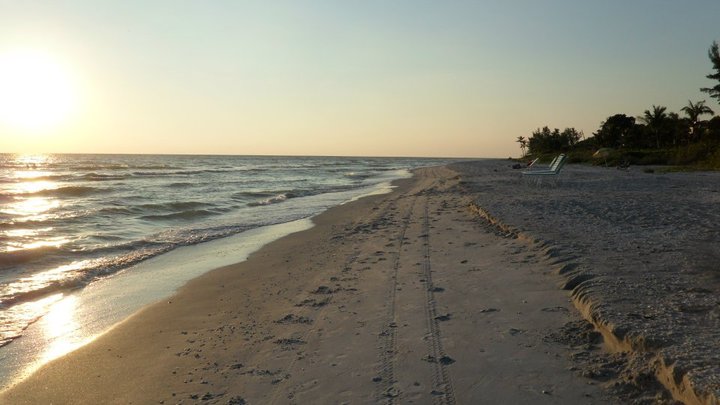 Sanibel Toot S Lazy Days Sunny Sanibel Saturday
