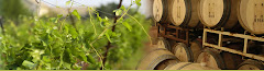 texas wine trail - high culture!