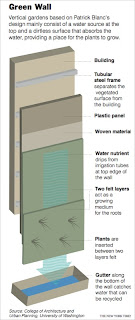Proyecto Jardines Verticales: ¿Cómo se hace un jardín vertical?