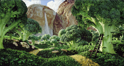 food-art food-art