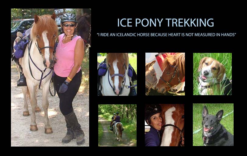 Ice Pony Trekking