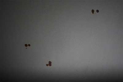 Unser Hausbauprojekt: Wäscheabwurf, Schiebetüre, Deckenflecken