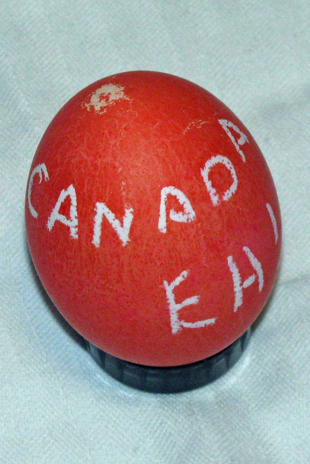 [IMG_0126_edited-1.jpg]