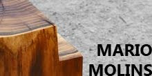 MARIO MOLINS