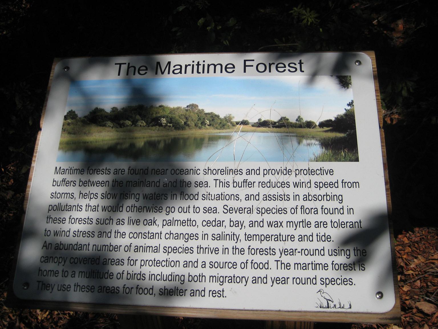 [Maritime+Forest.JPG]
