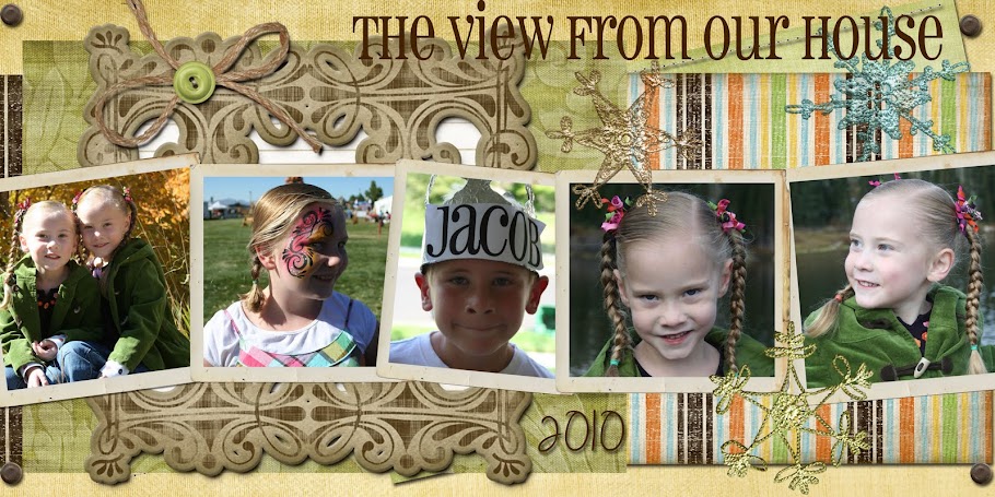 The View from our house