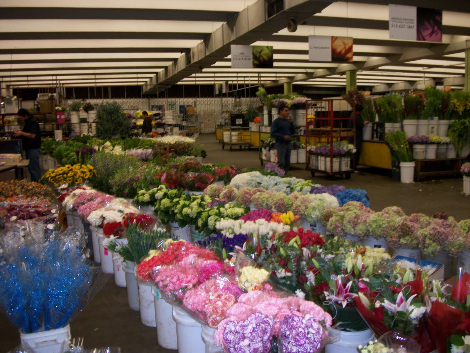 35 in 52 Discovering the real Los Angeles Los Angeles Flower District