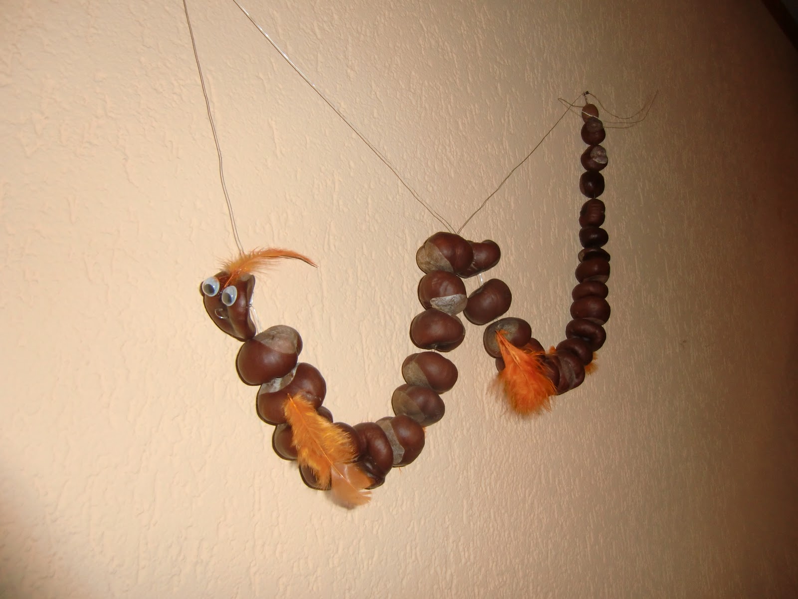 Tawnee Stone What Happened?