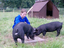 This is the story of 2 free range, rare breed, berkshire pigs and their "Pet" Emma