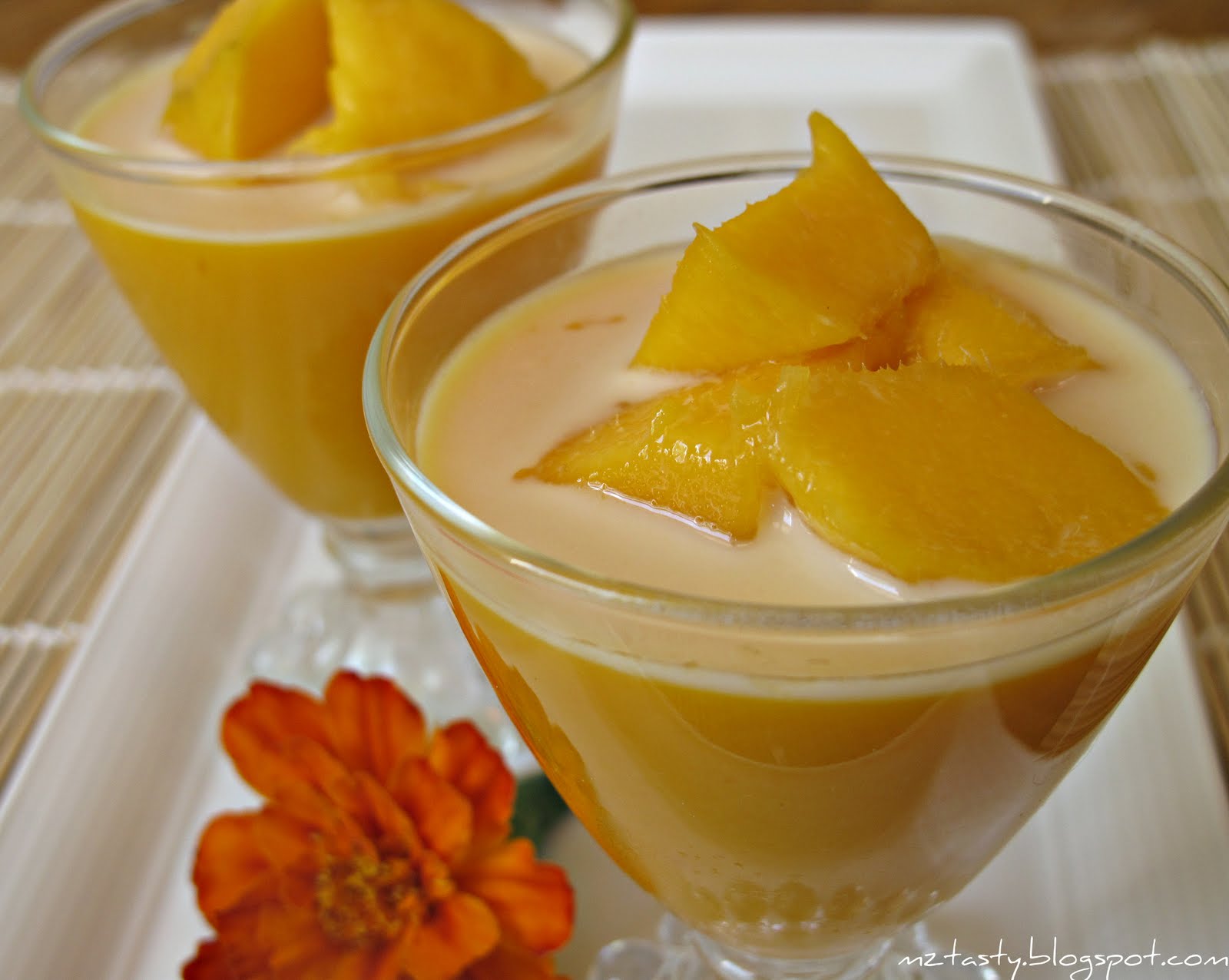 MzTasty's Kitchen, Savor The Flavor Mango Pudding