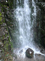 O'Gradys Falls, Mt Wellington - 13 October 2007