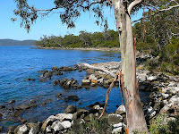 The sheltered eastern coast of Labillardiere Peninsula, Bruny Island, Tasmania - 20th Oct 2007