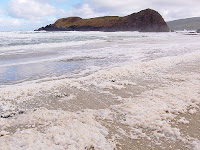 Foam on beach in front of Lion Rock, South Cape Bay - 15th August 2008