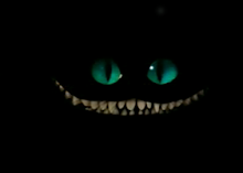 Gato sonriente