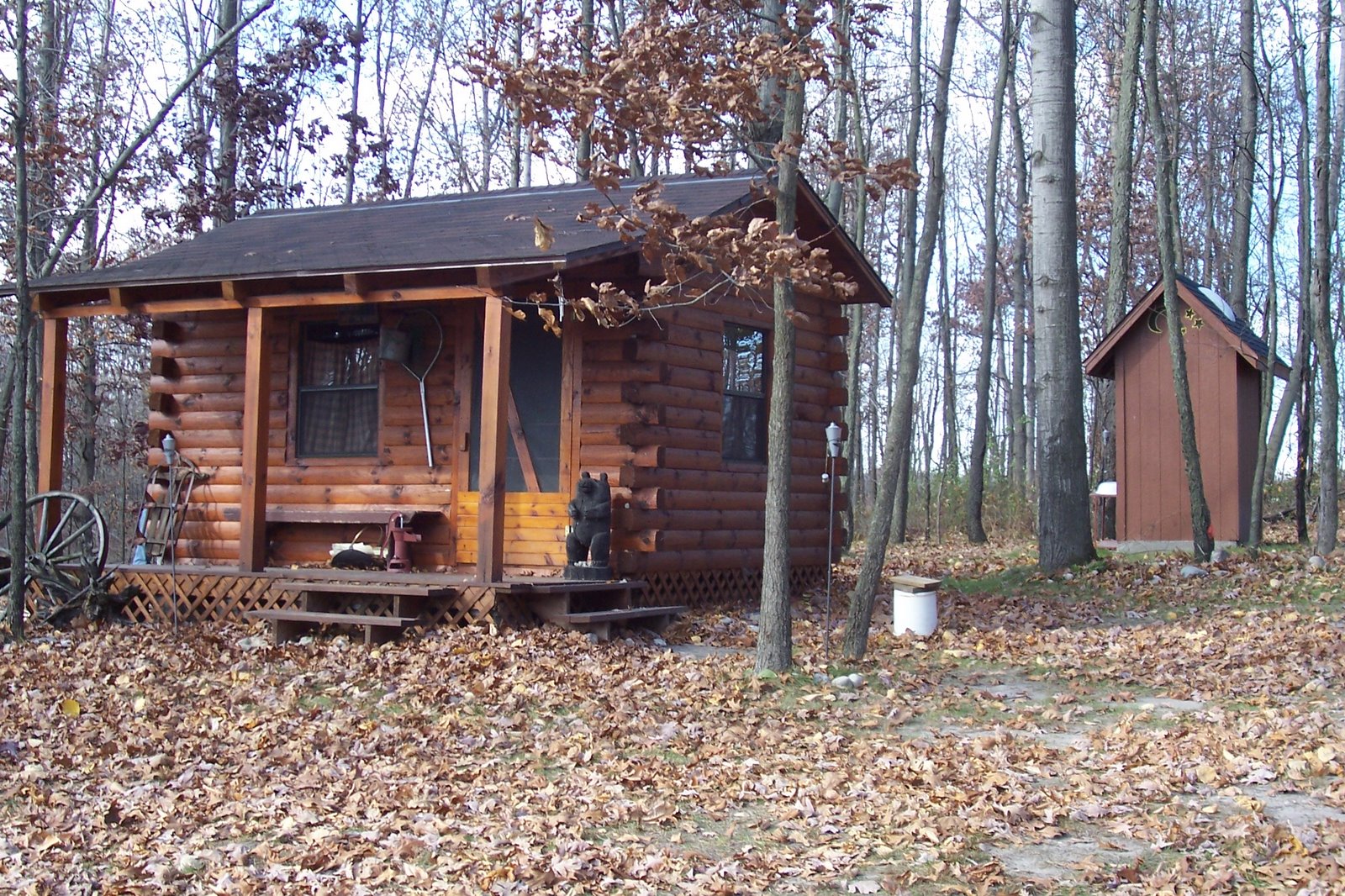 The Primitive Cabin
