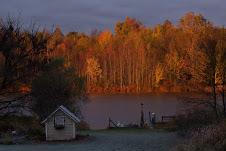 A fall morning at Mirror Lake.
